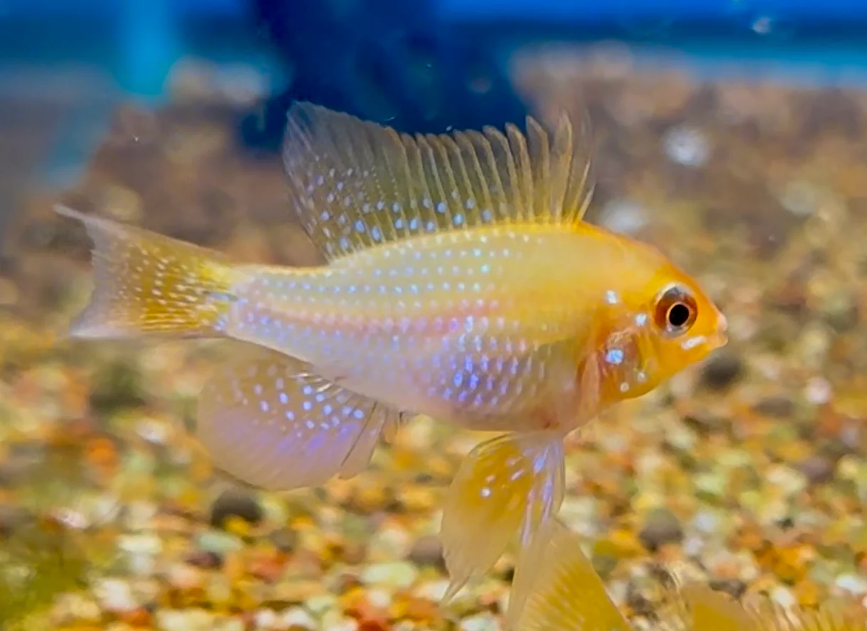 Welcome to Our Store